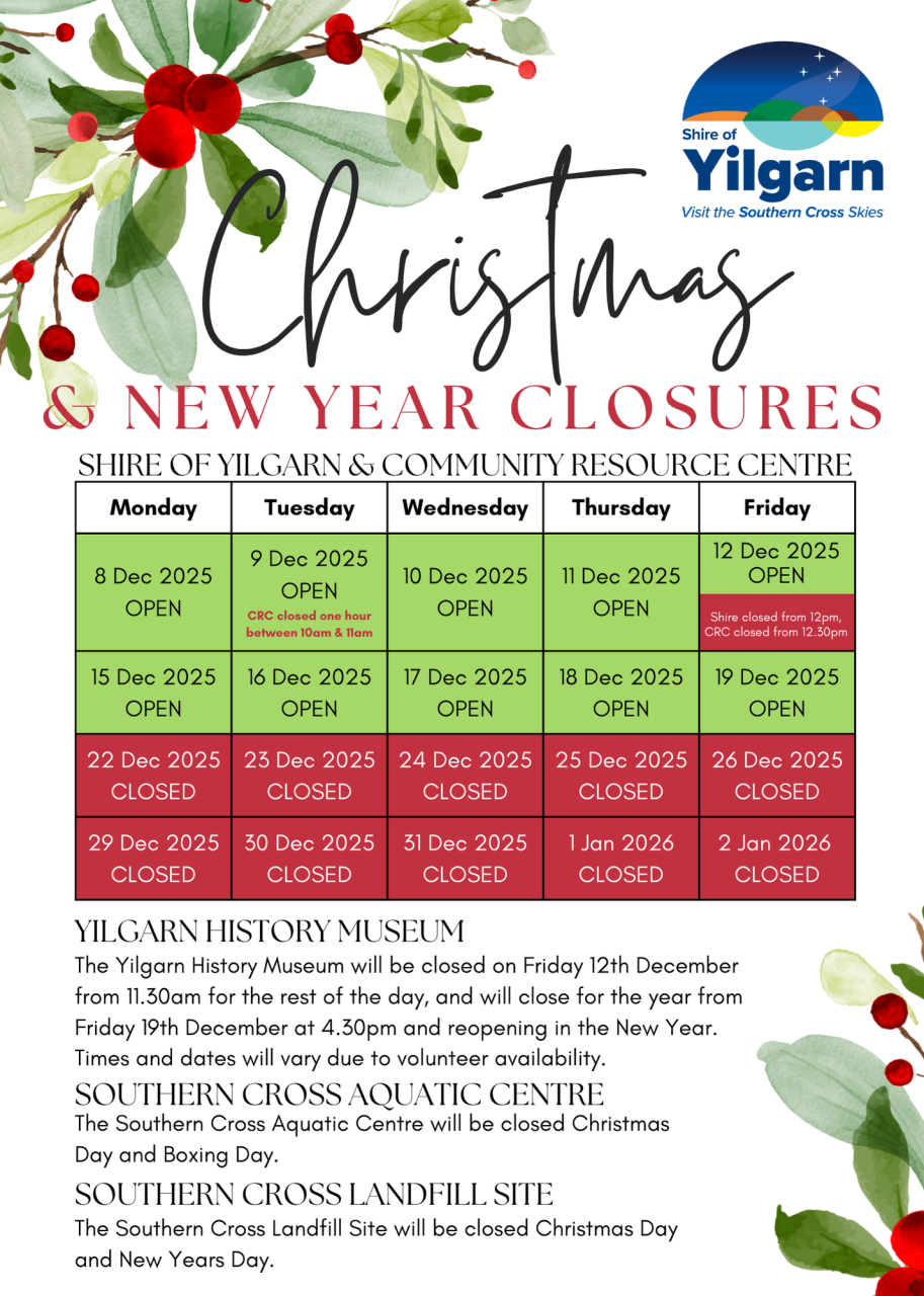 Christmas hours
