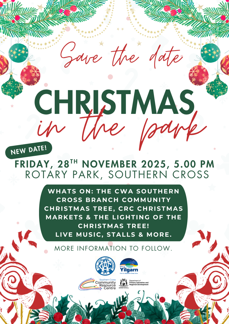 Christmas in the Park