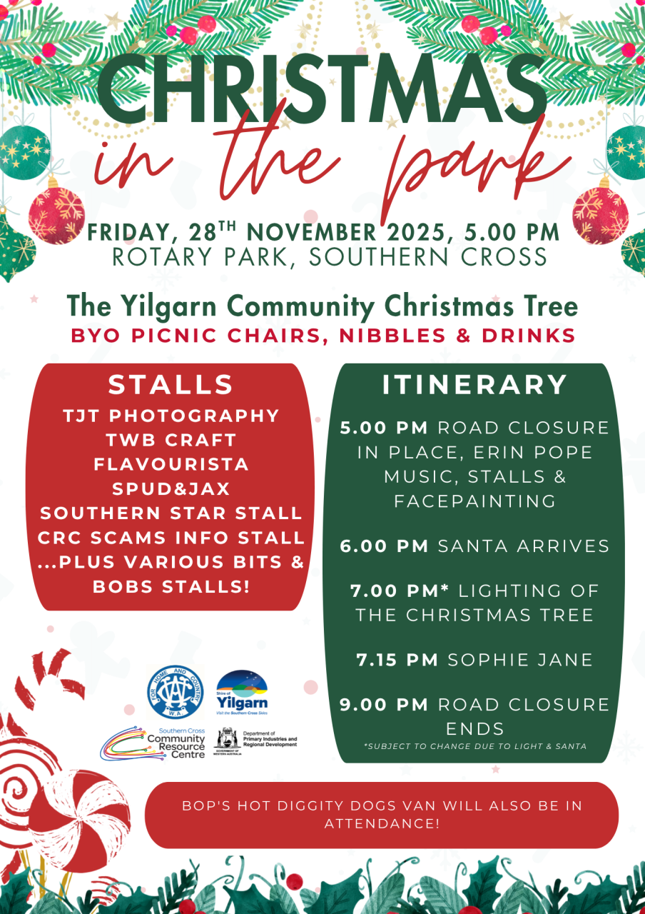Christmas in the Park