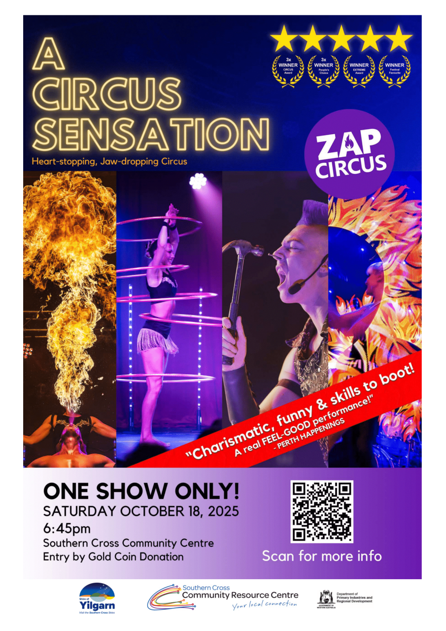 ZAP Circus
